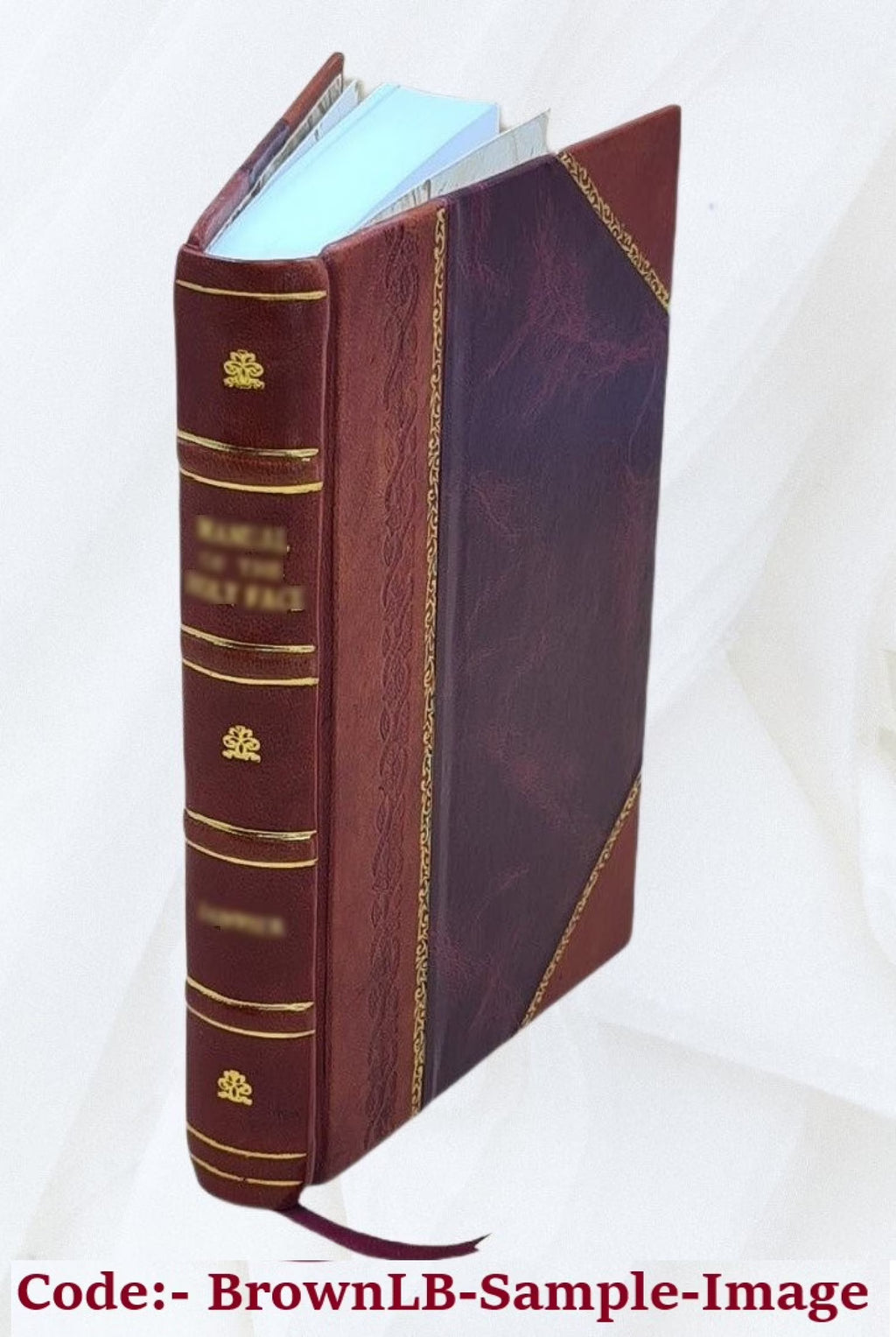 Reformed Church in North America Proceedings Leather Bound G99745