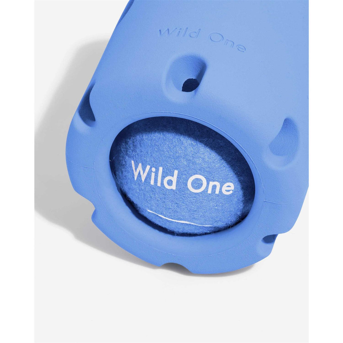Dog Toy C660504