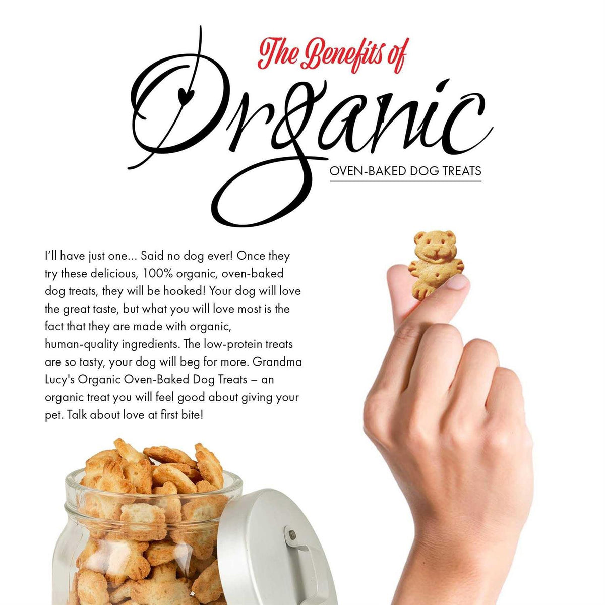 Organic Banana & Sweet Potato Oven Baked Dog Treats A5413