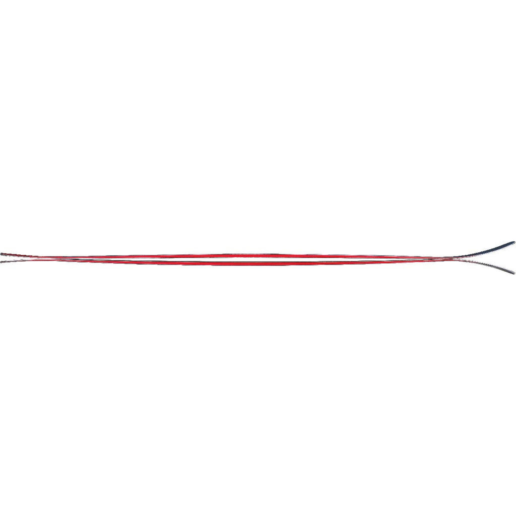 Skis 179 cm R4060