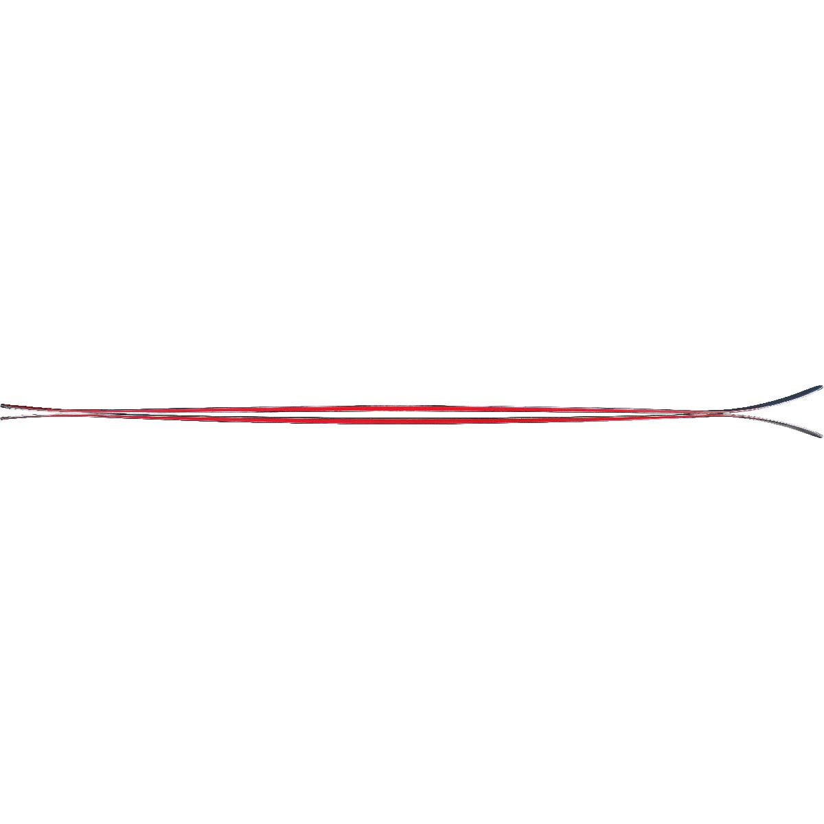 Skis 179 cm R4060