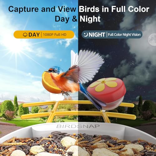 Smart Bird Feeder with Camera, 64G SD Card, Solar Panel V99915