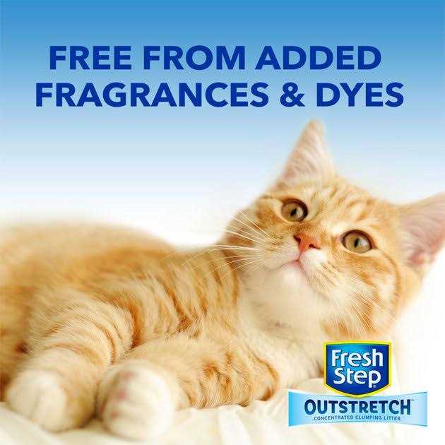 Concentrated Clumping Cat Litter Unscented Q4713