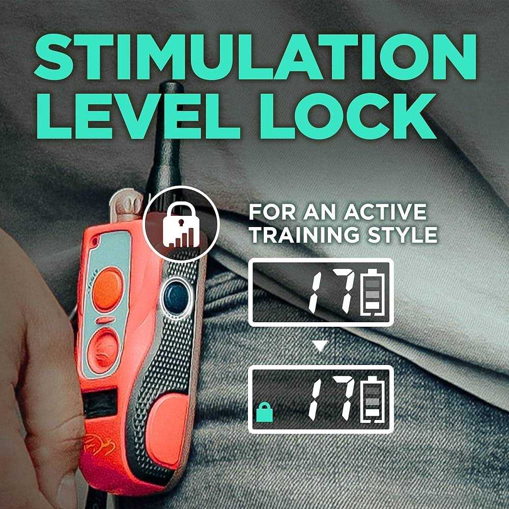 Waterproof Remote Dog Training E-Collar A49535