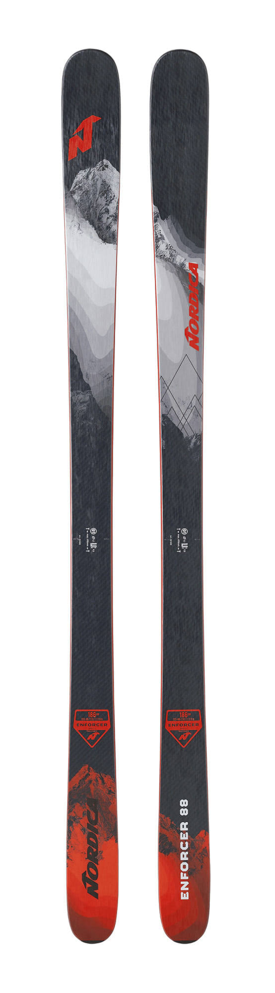 Skis 179 cm R4060