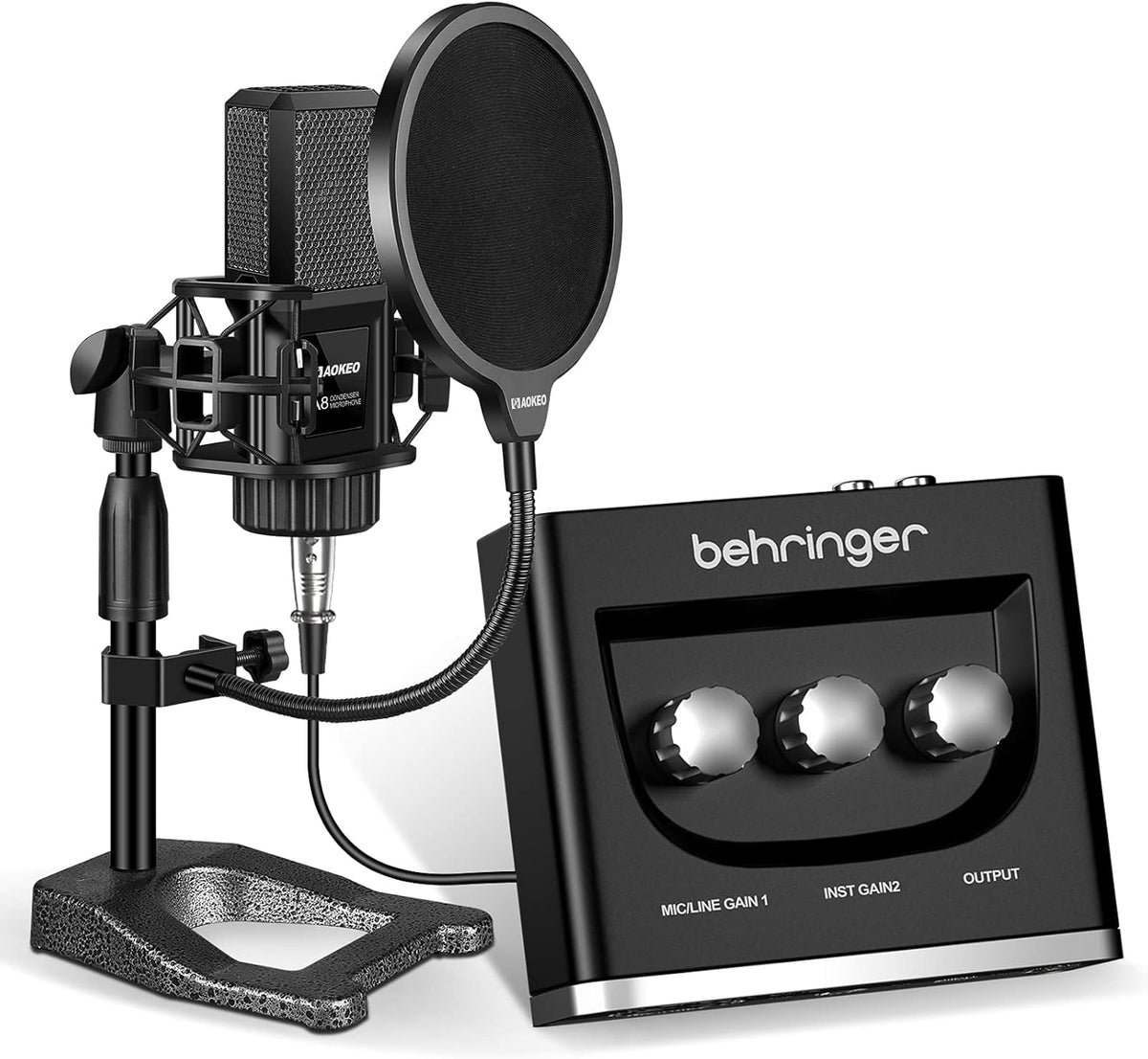 Computer Microphone with Shock Mount, Pop Filter, and XLR Cable J4244