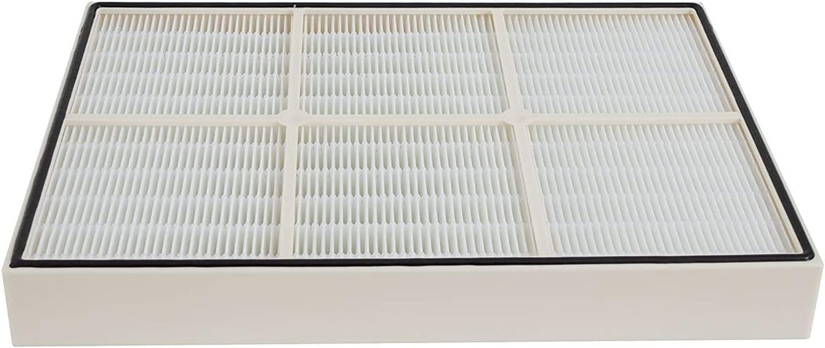 HEPA Filter and 4 Pre-Carbon Filters Pack of 2 G343