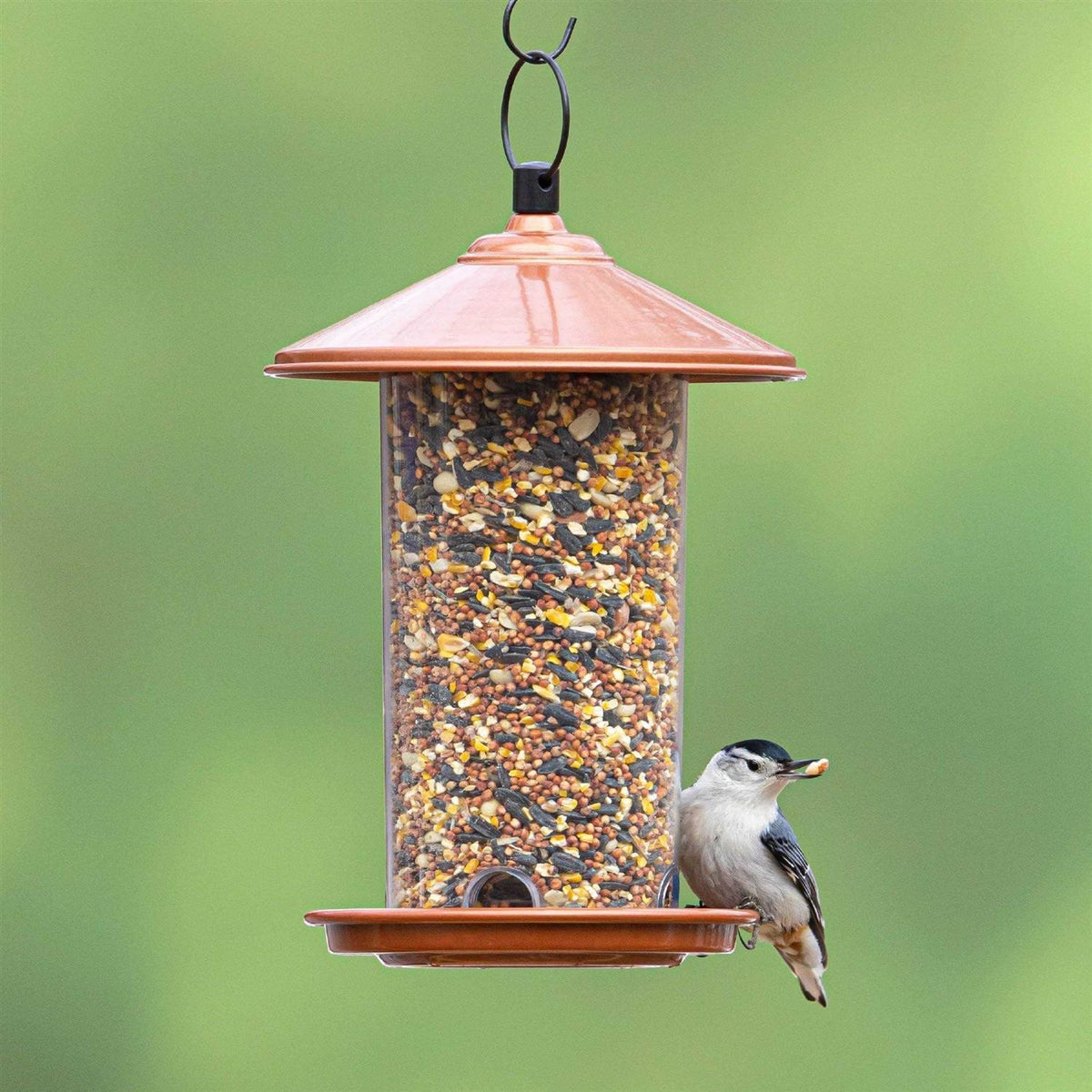 Peanut & Sunflower Wild Bird Feed A198