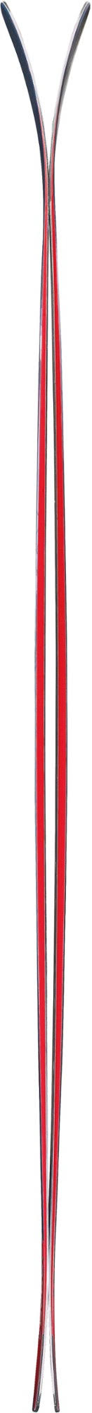 Skis 179 cm R4060