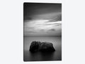 Canvas Wall Decor Prints T5874