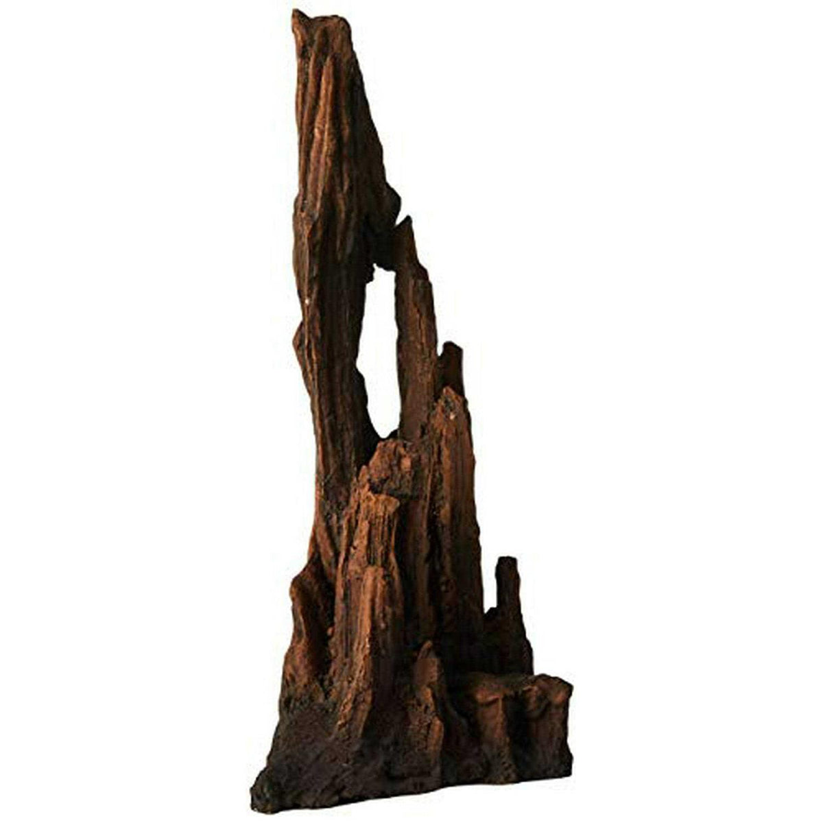 Petrified Wood U50099