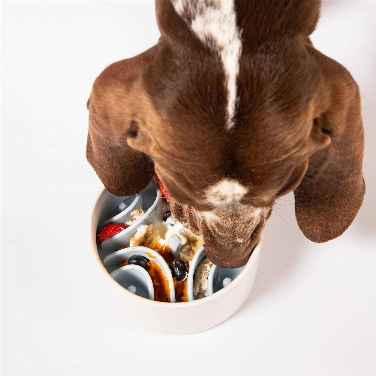 Silicone Dog Feeding Mat U4422