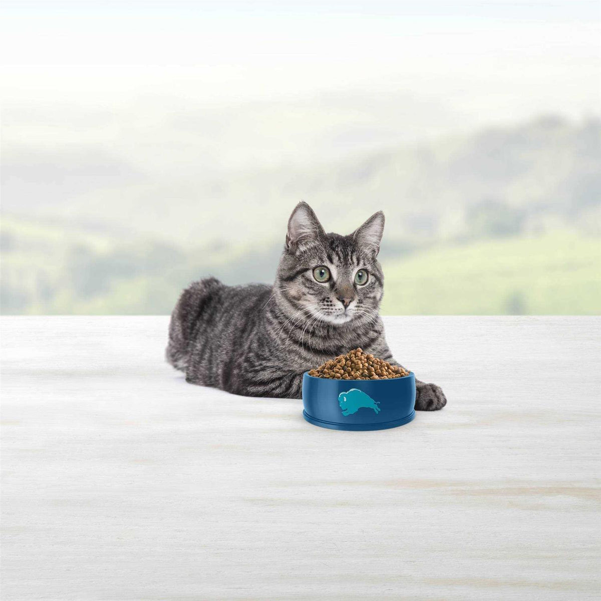 Chicken Adult 7+ Dry Cat Food J4865