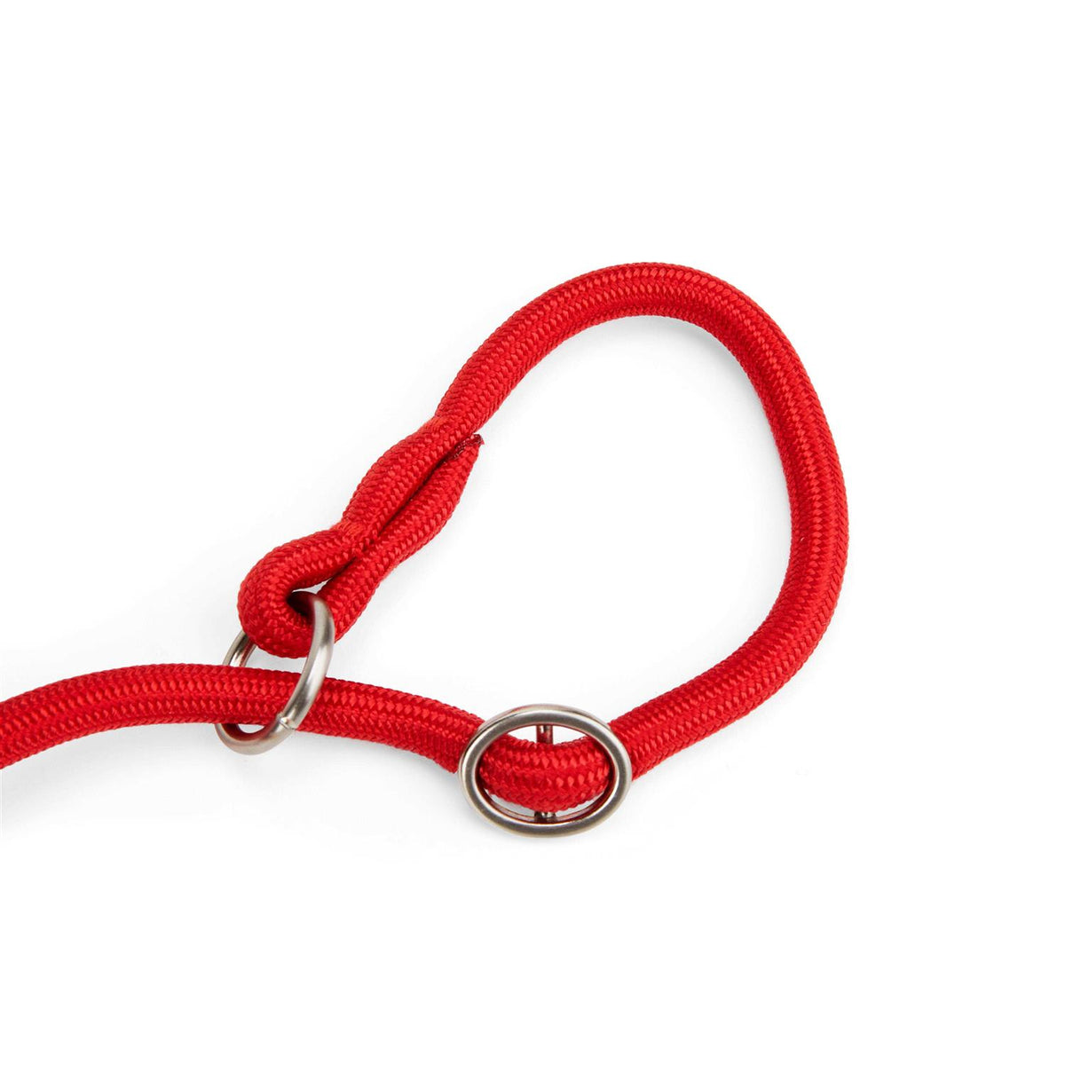 Training Rope Slip Lead for Dogs U493