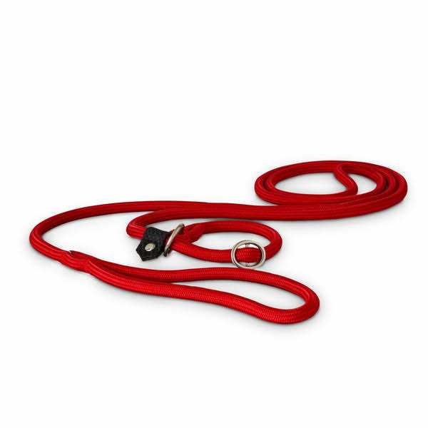 Training Rope Slip Lead for Dogs U493