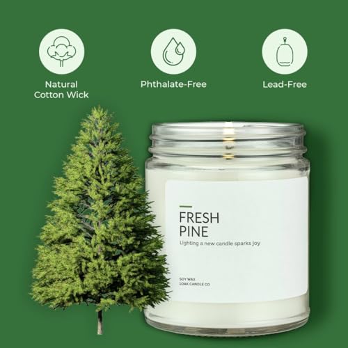Soy Wax Candles Fresh Pine 7oz G63288