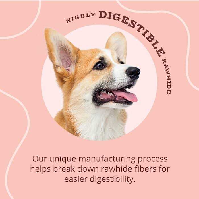 Real Dog Treats D724511