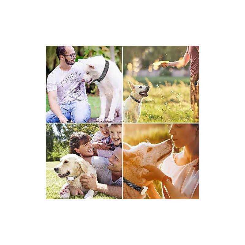 Rechargeable Anti Barking Training Collar A699886