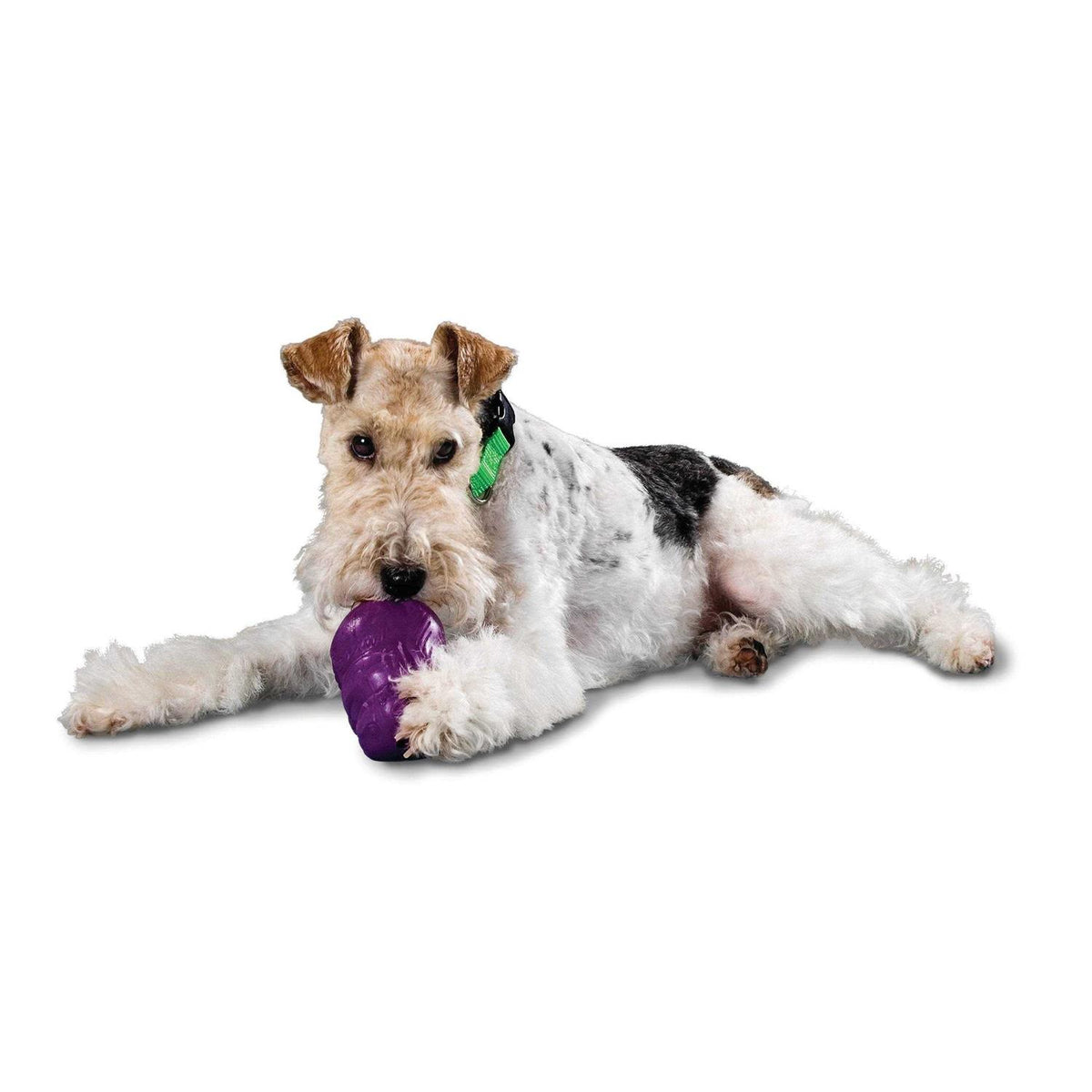 Dog Toy S73082