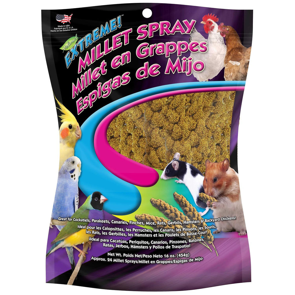 Millet Spray 16 oz I6296