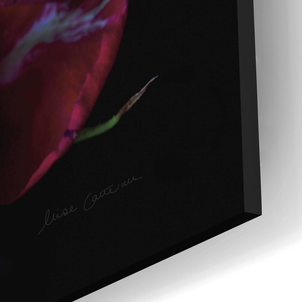 Acrylic Glass Wall Art 12"x16" B836