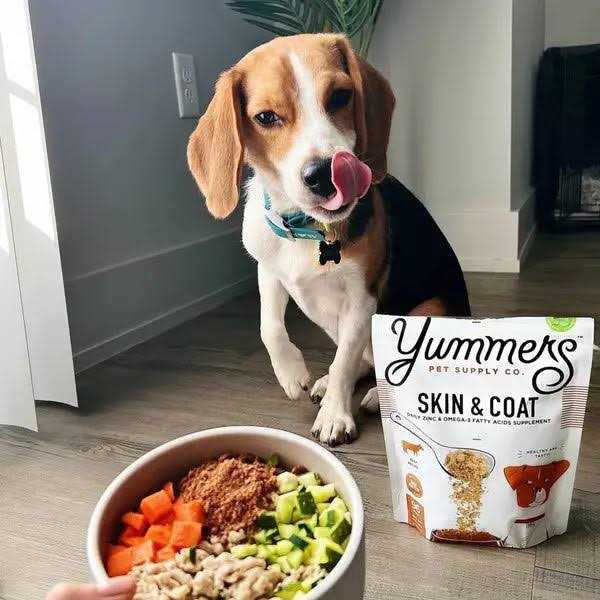 Beef Dog Food W562915