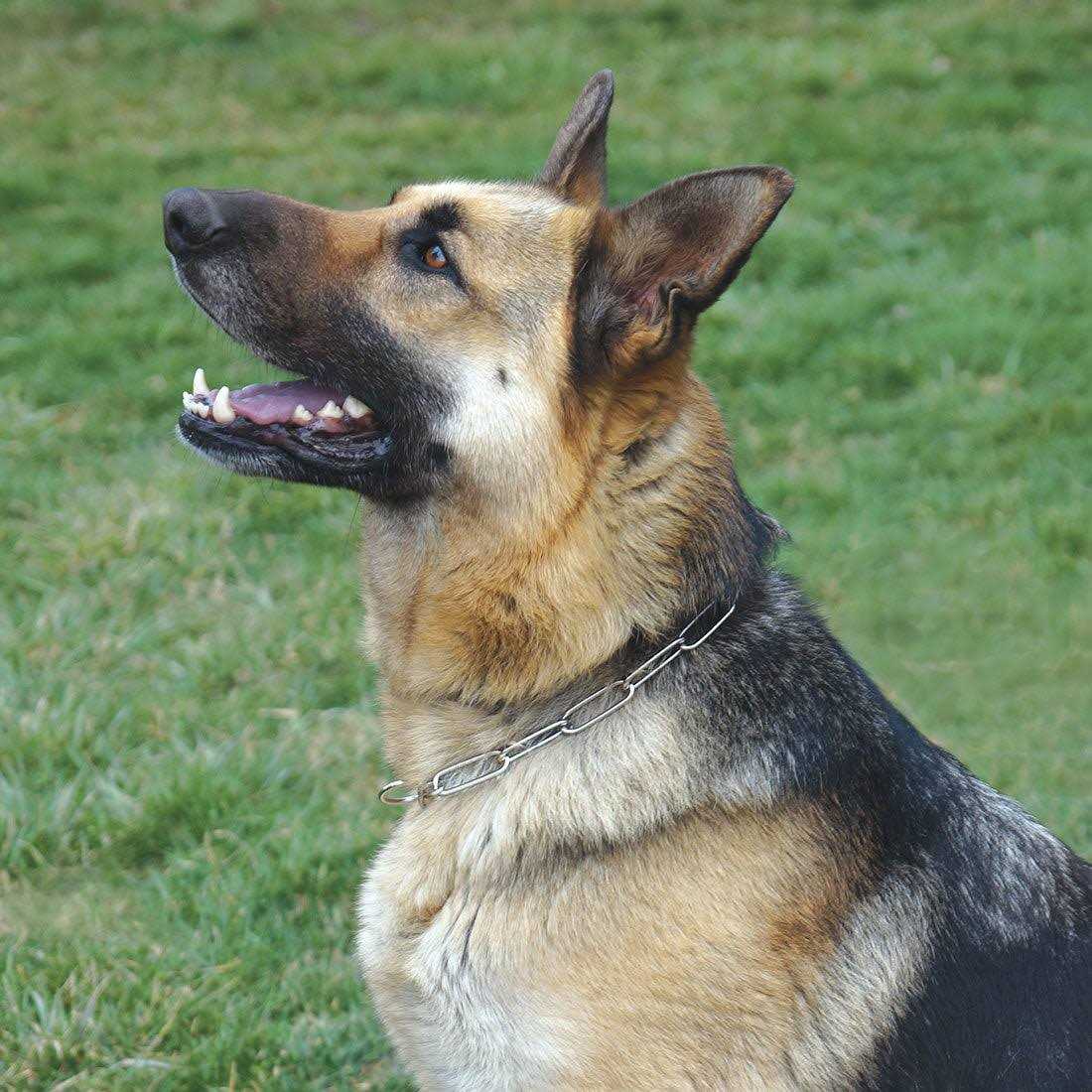 Fur Saver Link Chain Dog Collar Q5457