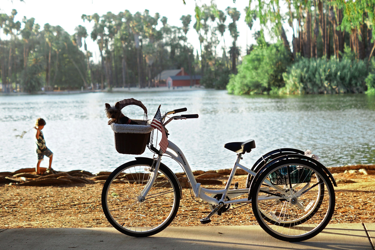 Blue Folding Adult Trike H132
