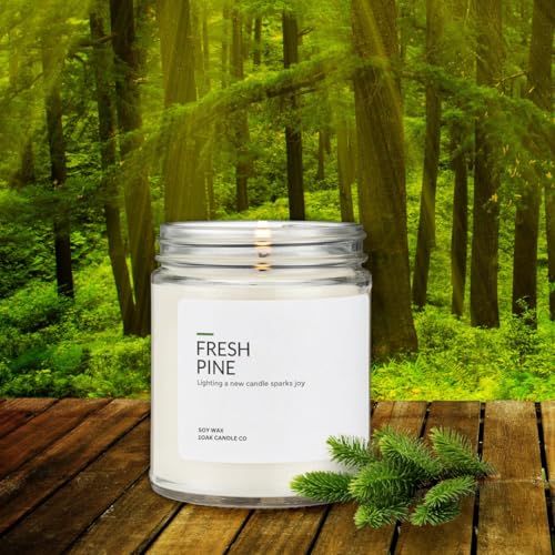 Soy Wax Candles Fresh Pine 7oz G63288