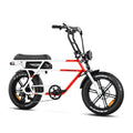 750W 20" Fat Tire Electric Bike E318442