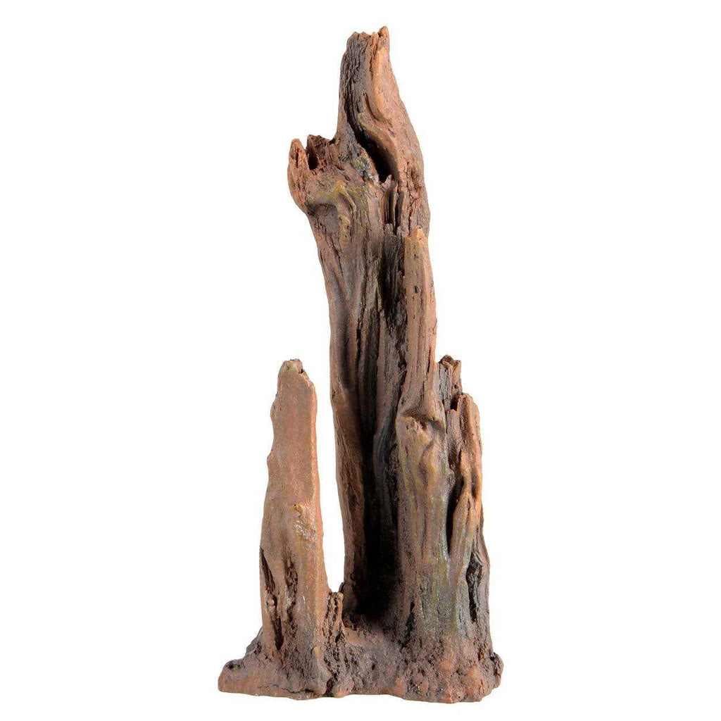 Petrified Wood U50099