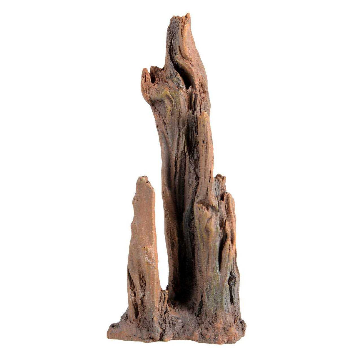 Petrified Wood U50099