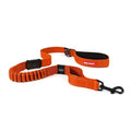 Dog Leash U681944