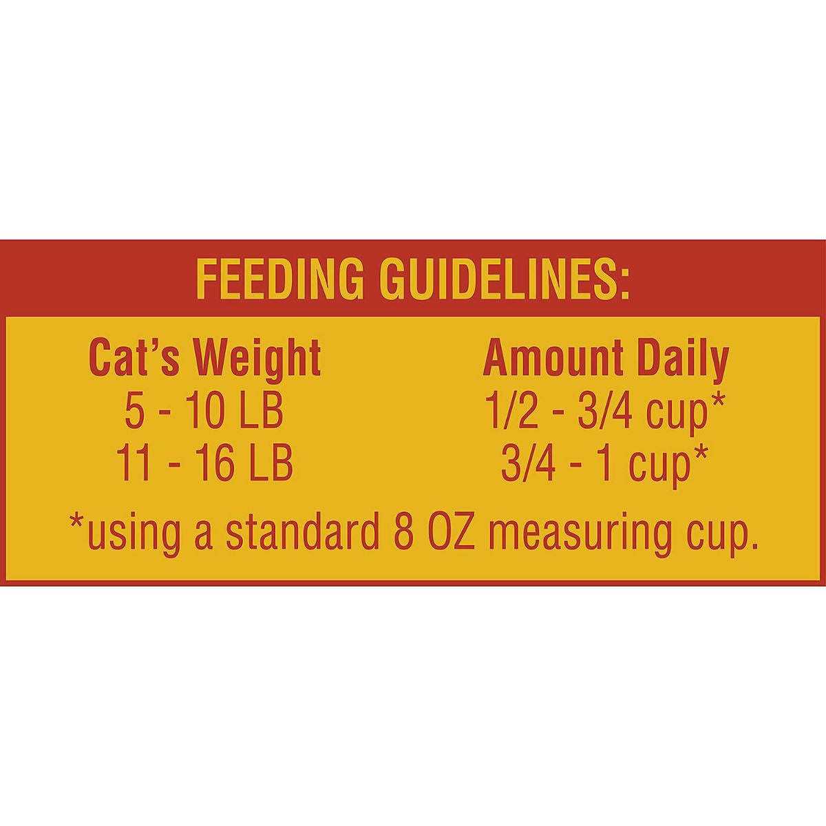 Cat Food V62121