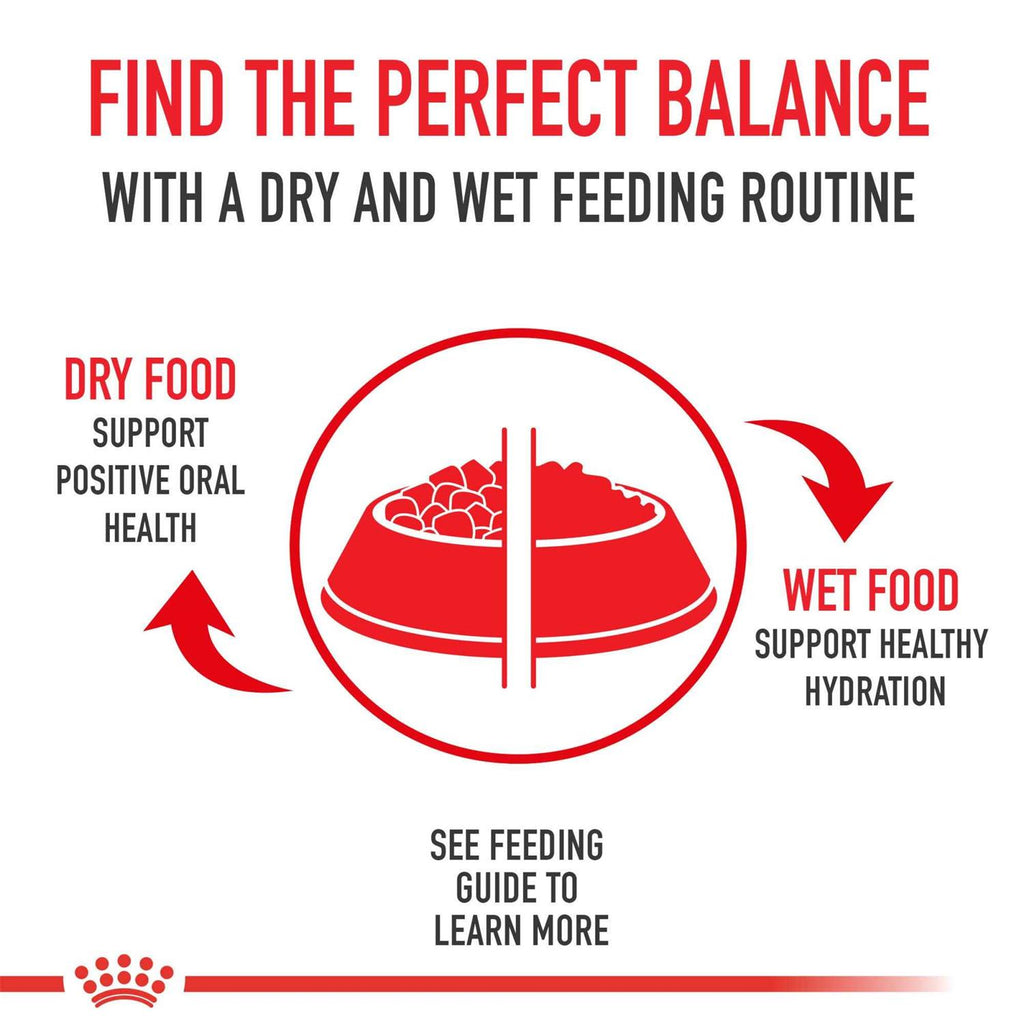 Sensitive Thin Slices in Gravy Wet Cat Food L964110