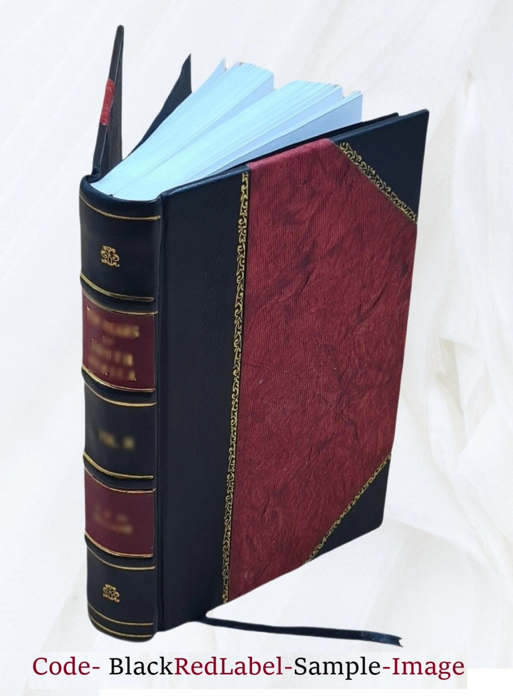 Leather Bound Guide-Book for Tourists Z497