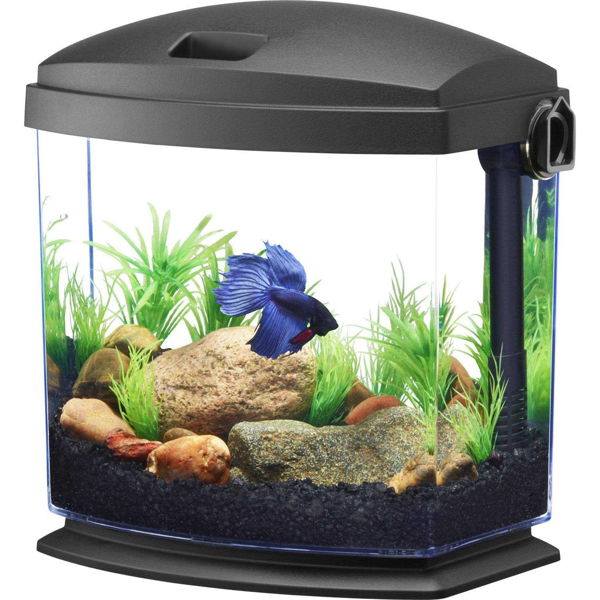 Black Aquarium Kit N748