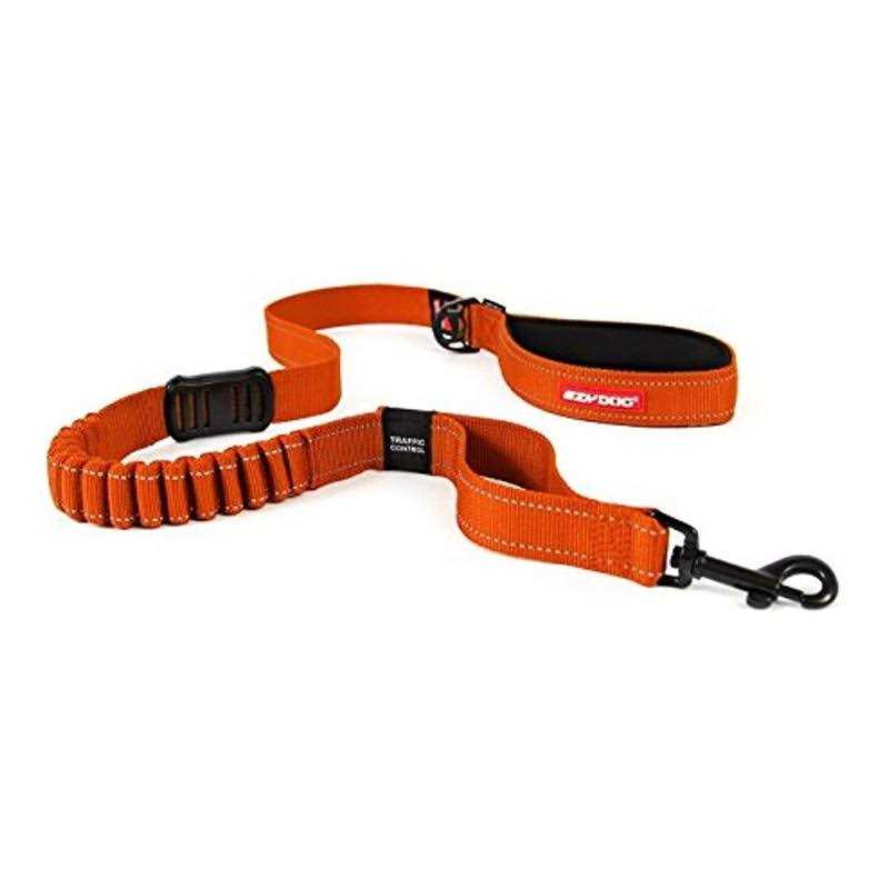 Dog Leash U681944